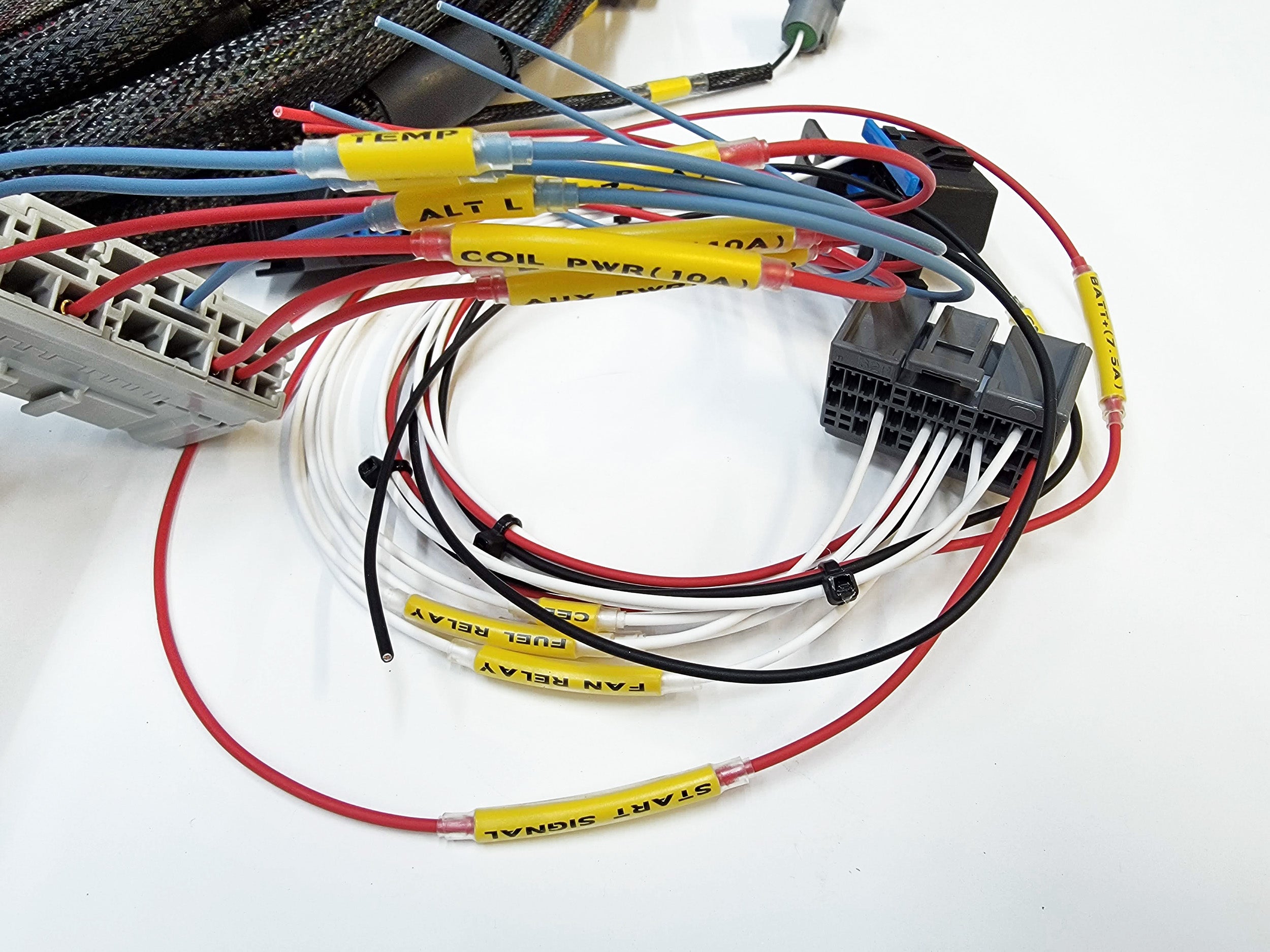 J Series Universal Swap Harness for 99 TL ECU