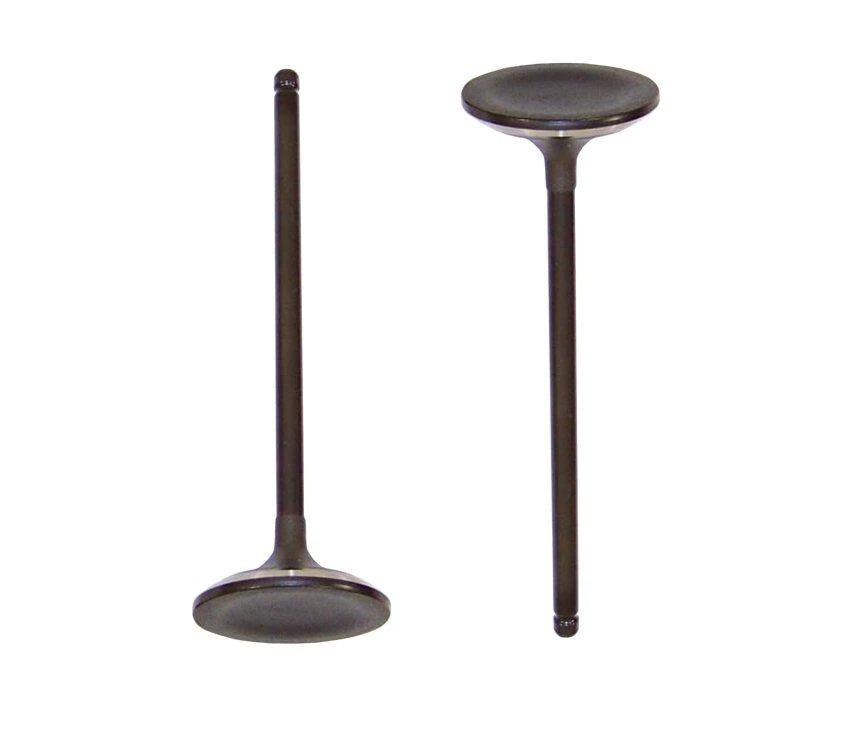 DNJ J-Series 36mm Intake Valves