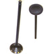 DNJ J-Series 30mm Exhaust Valves